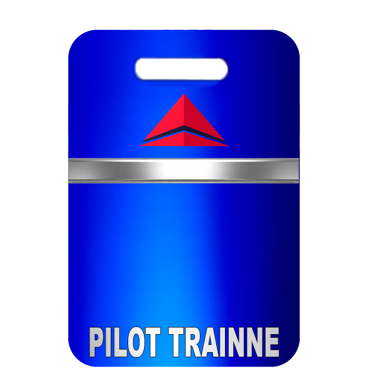 Pilot Trainee