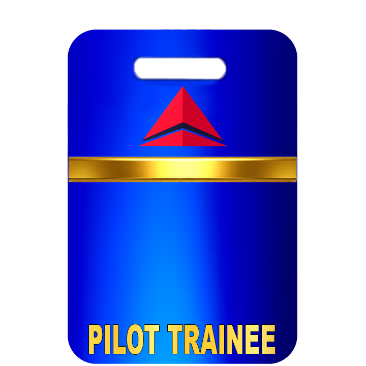 Pilot Trainee Advanced